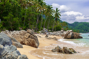Fototapeta na wymiar Beautiful tropical coast landscape with palm and pacific ocean en Mexico