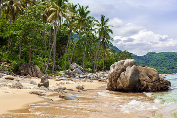 Beautiful tropical coast landscape with palm and pacific ocean en Mexico