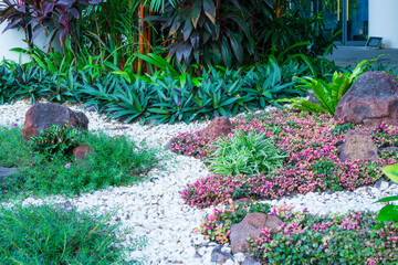 Gravel garden, decorated with white shell, brown stone, colorful plant
