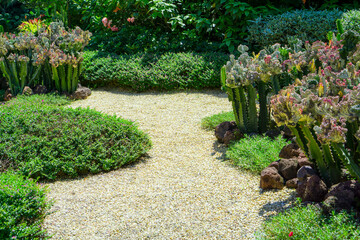 Cactus garden with Cactuses, Agave, brown sand stone, green leaf  plant and shrubs
