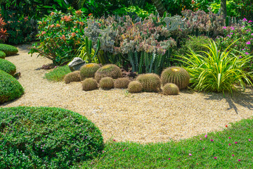 Cactus garden with Cactuses, Agave, brown sand stone, green leaf  plant and shrubs