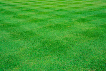 The grid line stripe pattern on green grass lawn as a soccer field