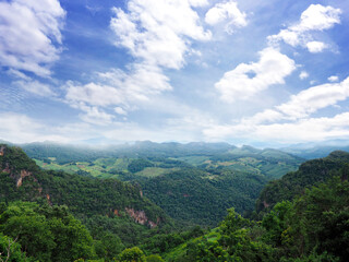 Fototapeta na wymiar Green treetops on the mountain against blue sky.