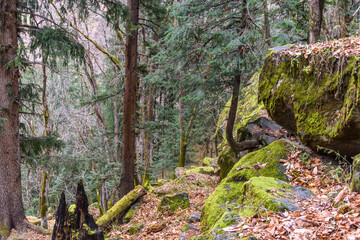 Winter lanscape of Parvati valley with mild snowfall at Himachal Pradesh, Inia