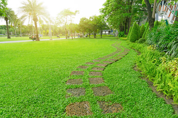 The walkway pattern of stepping stone on green grass lawn yard