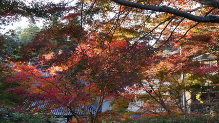 木山寺　秋の風景