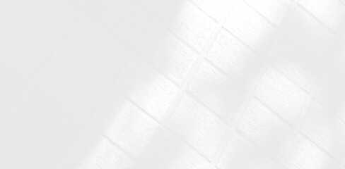 Abstract Shadow. blur background. gray leaves that reflect concrete walls on a white wall surface...