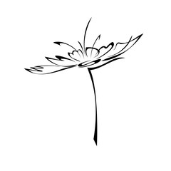one stylized blooming flower on a short stalk without leaves in black lines on a white background