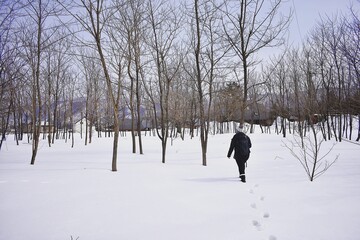 Girl Walking In Snow