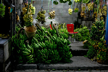 Fototapeta premium bananas at the market