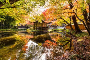 日本の世界遺産　岩手中尊寺紅葉の弁財天堂