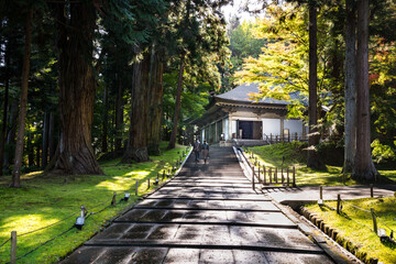 日本の世界遺産　岩手中尊寺金色堂覆堂木漏れ日と紅葉