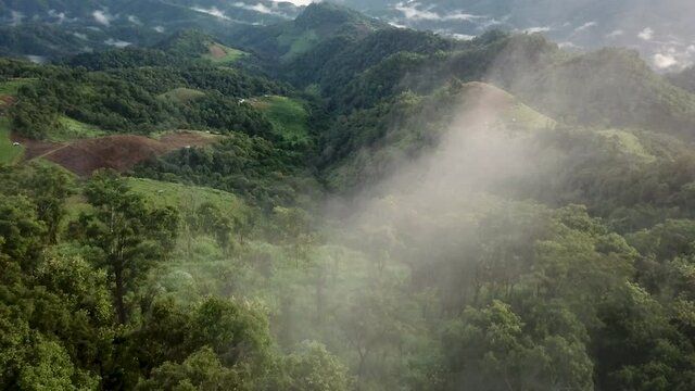 Top view Terraced rice field at Mae Cham Chiangmai Northern Thailand