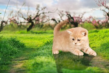 Adorable.