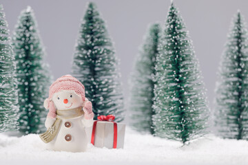 Snowman with gift in forest