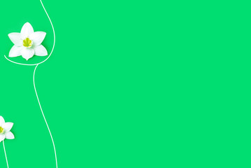 Female health concept. green background, copy space