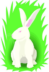 Illustration of a rabbit