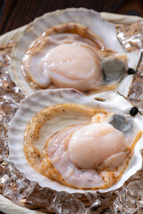 新鮮なホタテガイ