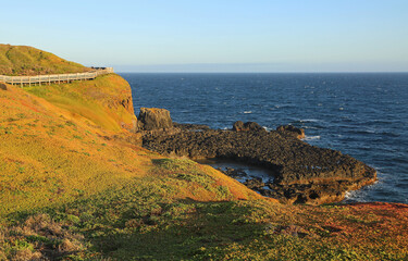 The trail in The Nobbies - Phillip Island, Victoria, Australia
