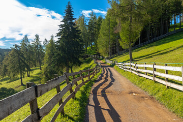 Spätsommer auf dem Salten, Südtirol