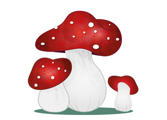 Fliegenpilz Familie leuchtend rot mit Punkte