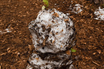 Melted dirty snowman on a blurred background of foliage. Snowman head close up.