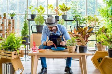 An elderly man handsome have mustache wearing glasses is happy with tree care and decoration. It is a hobby of home gardening, living happily after retirement