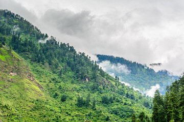 Fototapeta na wymiar Majestic Himalayan mountains covered with lush green forest and clouds in monsoon 
