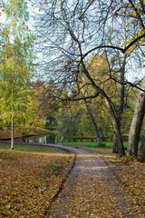 Fototapeta na wymiar gold autumn alley with fence in the city park 
