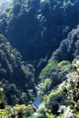 Fototapeta na wymiar Bucatoggio canyon in Upper Corsica mountain