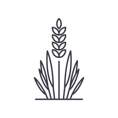 Rice plant icon, linear isolated illustration, thin line vector, web design sign, outline concept symbol with editable stroke on white background.