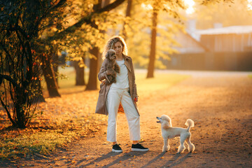 Fototapeta premium girl and two dogs in an autumn park at sunset.. Walking with pet. Toy and small poodle in nature