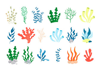 Set of vector illustrations of seaweed and corals. Cartoon sea life. © Костенко