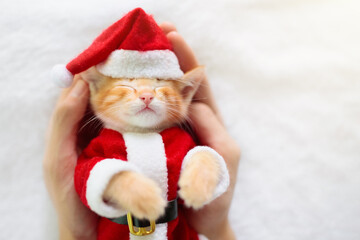 Baby cat in Christmas Santa hat. Kitten in winter.