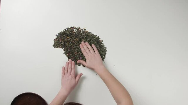 Woman making map of dry tea leaves on white background, top view