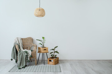 Stylish armchair with plaid and houseplants near light wall in room
