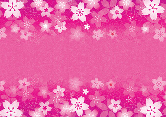 満開の桜の花の濃いピンクのイラスト、和紙風の背景イメージ
