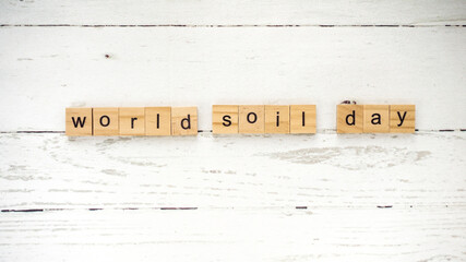 World Soil Day.words from wooden cubes with letters photo