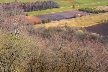 Fototapeta na wymiar Beautiful view at a lush woodland with fields in spring