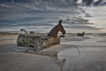 Bunker Mules horses on Blaavand Beach, North Sea coast, Denmark