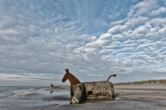Bunker Mules horses on Blaavand Beach, North Sea coast, Denmark