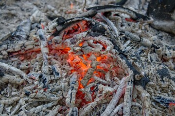 Burning fire and hot ashes with coals. Fading fire after a long burst of flames.