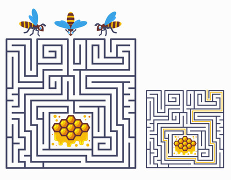 Square maze labyrinth game for kids. Find a way for bees to honeycomb. Three entrance and one right way to go. Vector cartoon illustration isolated on white background.