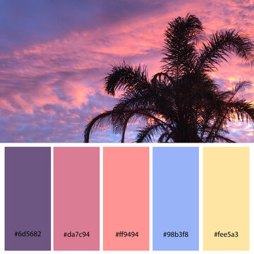 Designer Color Palette inspired by the beautiful pastel blue and pink sunset sky. Designer pack with photograph and swatches with hex codes references.