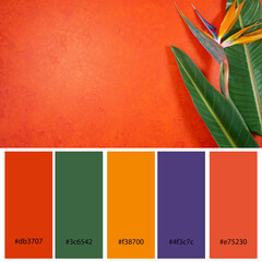 Tropical theme Designer Color Palette inspired by the colorful Bird of Paradise flower on a orange...