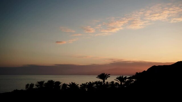 Sunset over coast with palm tree. Sun sinking below sea horizon. Nature landscape. Time lapse
