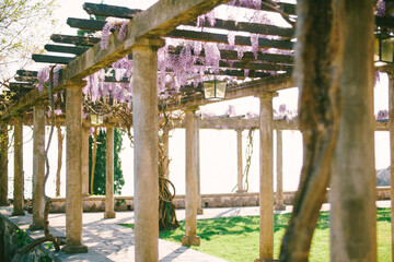 An ancient arch with stone columns and wooden beams with winding wisteria.
