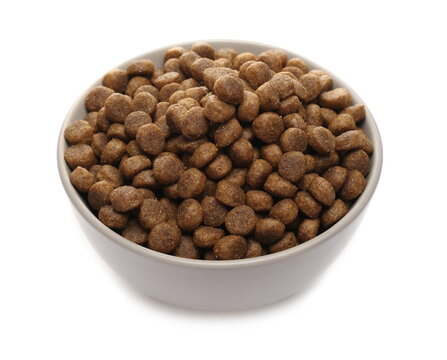 Dog food, dry granules for puppies in porcelain bowl isolated on white background