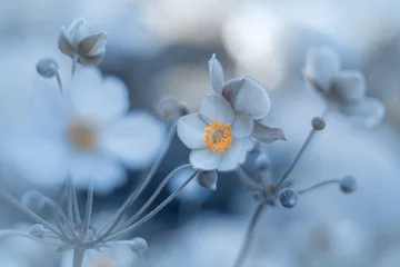 Garteninspirationen © anettastar