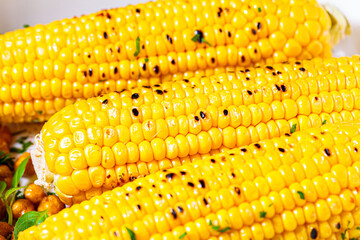 Grilled whole corn with herbs in a white dish, close up. Vegetarian food concept.